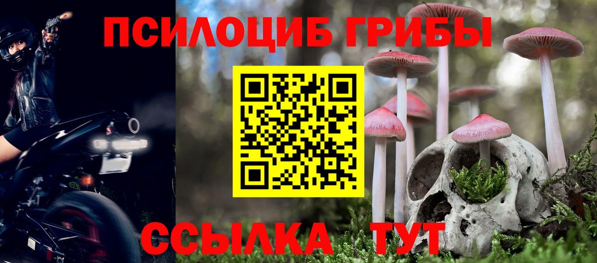 Псилоцибиновые грибы мицелий Котлас
