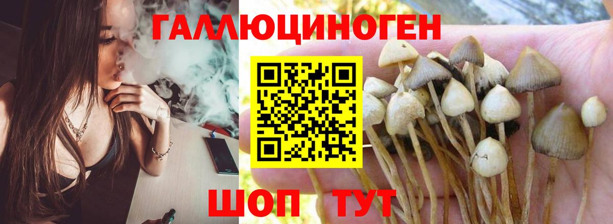 Котлас  Псилоцибиновые грибы мухоморы  Галлюциногенные грибы мухоморы  Вход с VPN 