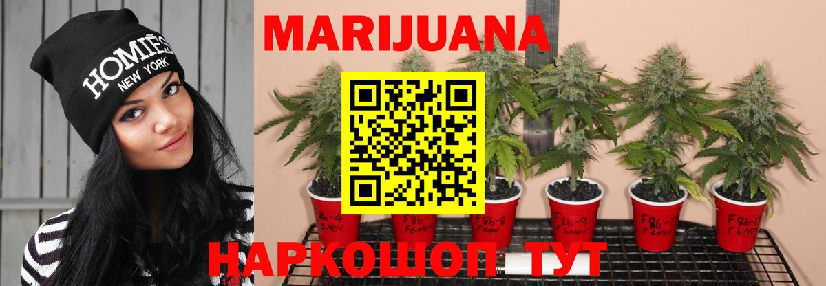 Канабис индика  Вход с VPN  Шишки марихуана индика  Котлас  Бошки марихуана тримм  МАРИХУАНА план 